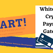 white label payment gateway usa