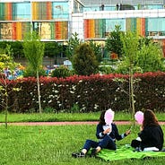 En Iyi Okullar Icin En Iyi Puanlari Mi Almaliyiz By Furkan Hisamioglu Furkan In Notlari Medium