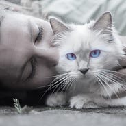 Poetique Is Thomas Gray S Death Of A Favourite Cat About Cats