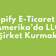 Llc Icin Transferwise Business Hesabi Acmak Amerika Da Sirket Kurmak