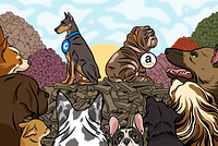 Amazon and Chewy Won the Puppy Boom. Now Pet Shops Are Biting Back