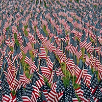 Remembering Our Dead on Memorial Day