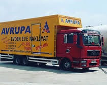 Mehmet Elmas Medium