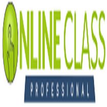 Online Class Professionals Medium