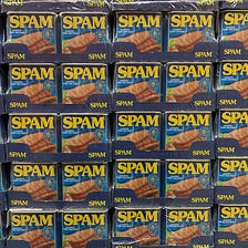 Getting rid of Wordpress SPAM