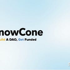 介绍 SnowCone，一种用于基于雪崩的治理的 DAO 创建和管理基础架构，抓紧成为早期关注者