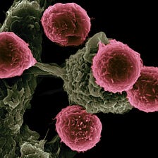 ‘Masked’ Cancer Drug Stealthily Trains Immune System to Kill Tumors While Sparing Healthy Tissues…