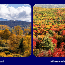 22 Places in the United States to Find the Best Fall Colors