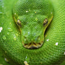 Understand Algorithm Evaluation and Basic Algorithms