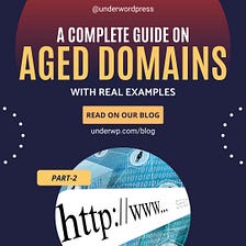 A Complete Buyer’s Guide On Aged Domains With Examples — Part 2