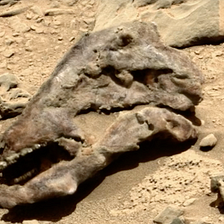 Alien Fossils on Mars are Life-mimicking with Non-biological Origins — NASA