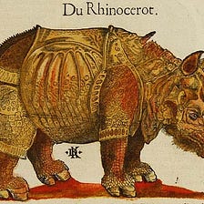 Imagery: Why you Shouldn’t Avoid Rhinoceros