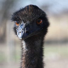 How a Strategic Mistake Cost Home Depot More Than Money