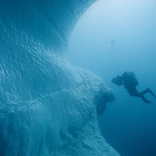 My Top Five Short Film Recommendations from the online D.C. Environmental Film Festival
