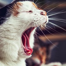 How to Get Others to Change Their Behavior Without Screaming