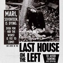 “The Last House on the Left”: The American Nightmare