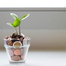 9 Eco-Friendly Ways to Save Money