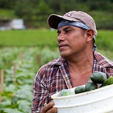 America’s Farms and The Increase of Deportation.