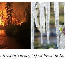 CHANGE FOR THE WORSE: FOREST FIRES IN TURKEY AND FROST IN SLOVENIA