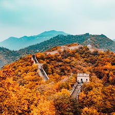 How to Use Feedback to Level Up Your Writing