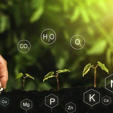 13 Nutrients Required for Hydroponic Plants