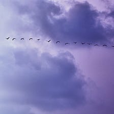 Migrating On-Premise Applications to the Cloud