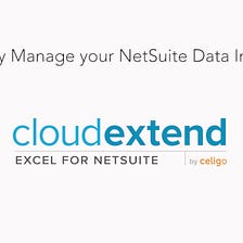 How to work with newly added field in NetSuite in CloudExtend Excel for NetSuite