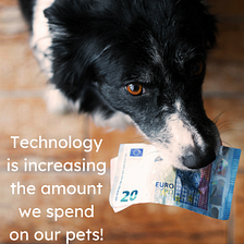 How Is Technology Changing Pet Care?