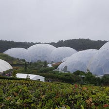 My Visit to the Eden Project, Cornwall