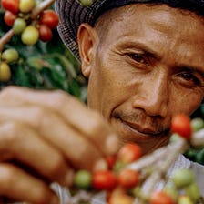 The Wonderful World of Honduran Coffee