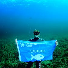 What are the UN’s Sustainable Development Goals and why should you care?