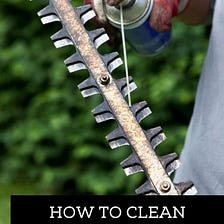 How to Clean Electric Hedge Trimmer Blades: In 2 Easy Steps — The All Electric Lawn