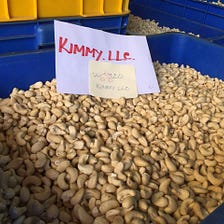 Vietnam Cashew Nuts Exported to Switzerland Grown Strongly