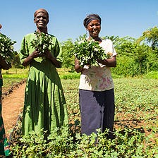 Climate-smart agriculture: Lessons from Kenya, for the World