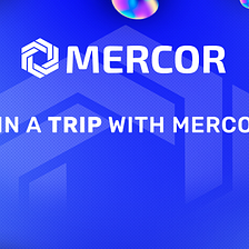 Welcome to Mercor Airlines