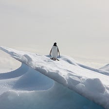 Plotting Sea Ice Concentration with 2 Graphs using Python.