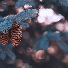 Using Pinecone For Question Answering with Similarity Search