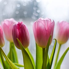 Affirmation #31: Let the Rain