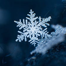 The Snowflake IPO- Investor Insights From a Cloud Data Architect