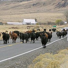 What is the Oregon Outback?