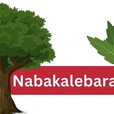 Nabakalebara Festival #1 Extraordinary Festival