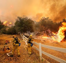 Arsonist Birds