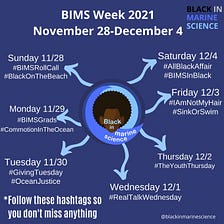 An ocean of expertise: #BlackInMarineScience Week 2021 is here!