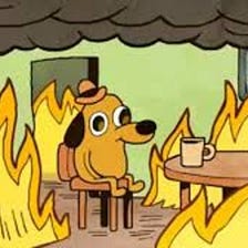 This is Fine: The Meme that United Los Angeles Together