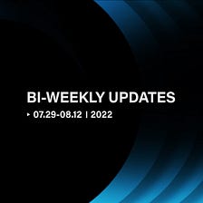 FilSwan Bi-Weekly Updates 07.29–08.12