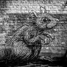 Disengaged Rat