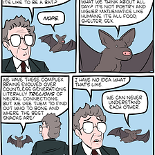 Explaining Consciousness: the “hard” and “easy” problem