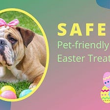 3 Pet-friendly Easter Treat Recipes + 5 Dangerous Foods to Avoid