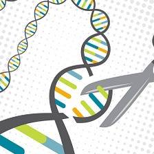 Rewriting Ourselves With CRISPR