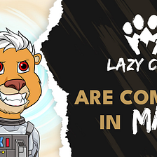 Lazy Lions Weekly Update #25